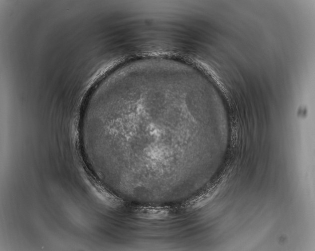 X0000100230443200806131340