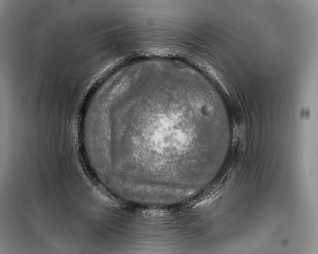 X0000100230444200806131340