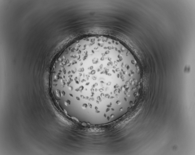 X0000100230445200806131340