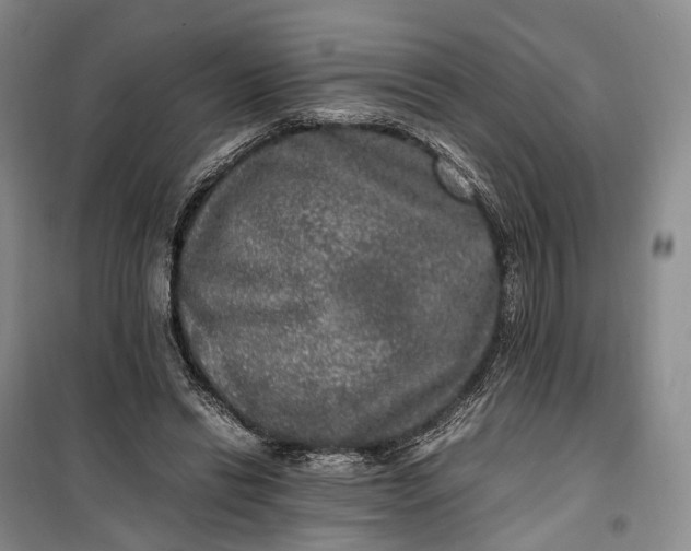 X0000100230446200806131340