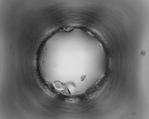 X0000100230447200806131340