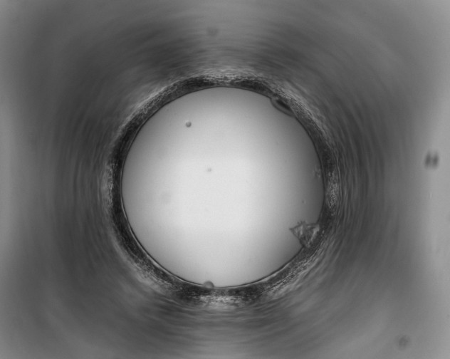 X0000100230448200806131340