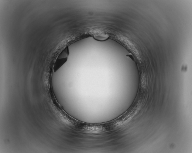 X0000100230449200806131340