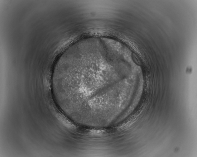 X0000100230450200806131340