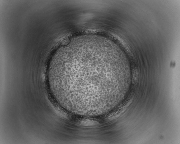 X0000100230451200806131340