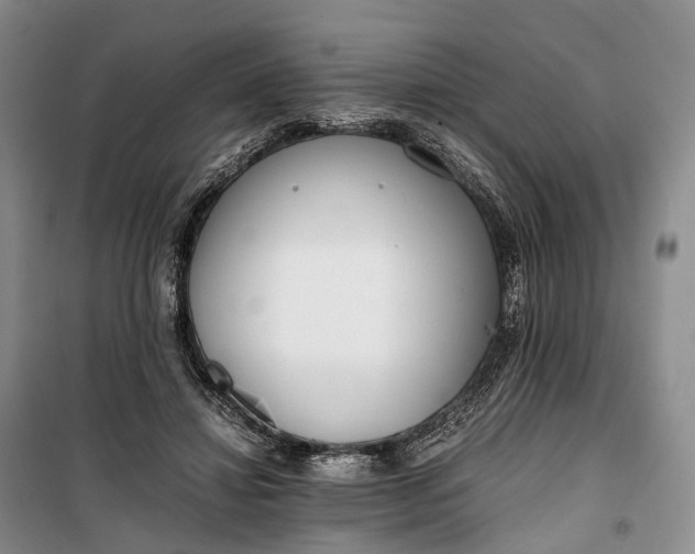 X0000100230452200806131340