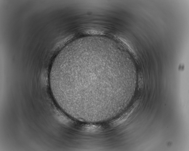 X0000100230453200806131340