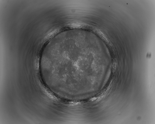 X0000100230454200806131340