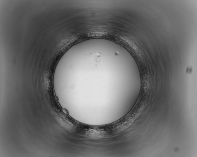 X0000100230455200806131340