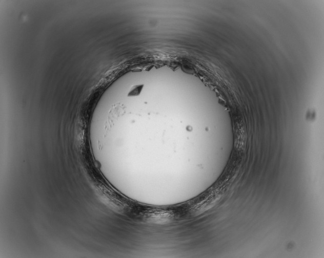 X0000100230456200806131340