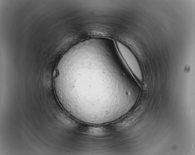 X0000100230457200806131340