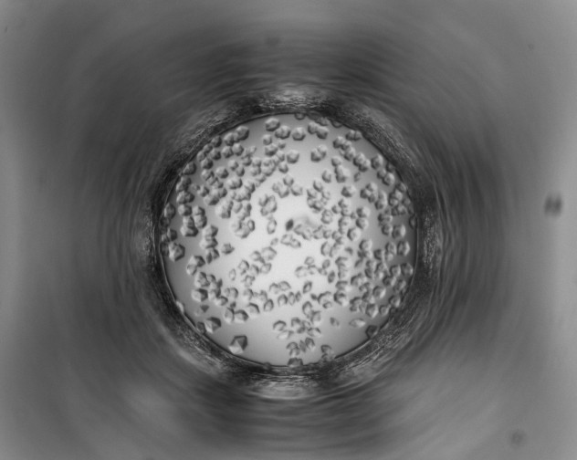 X0000100230459200806131340