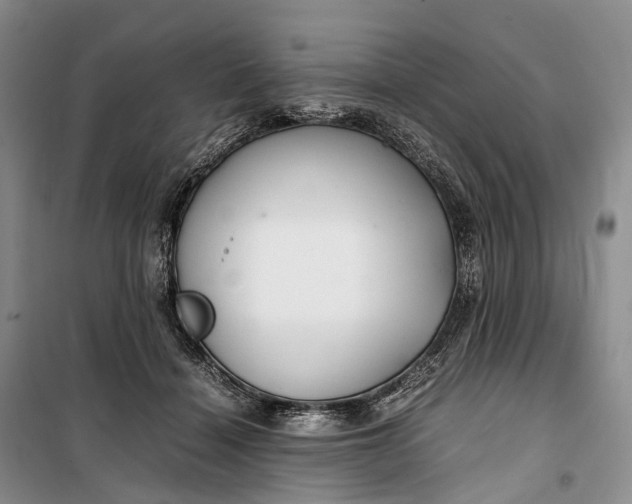 X0000100230460200806131340