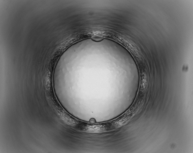 X0000100230461200806131340