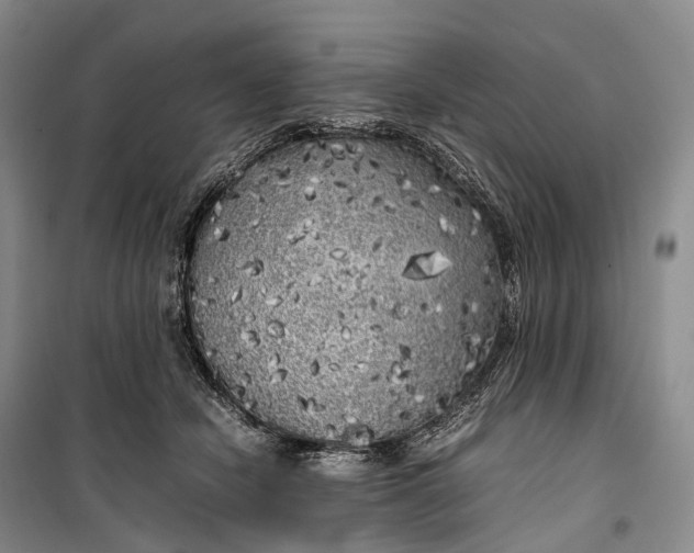 X0000100230462200806131340