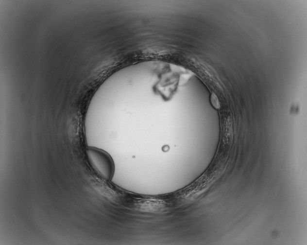 X0000100230463200806131340