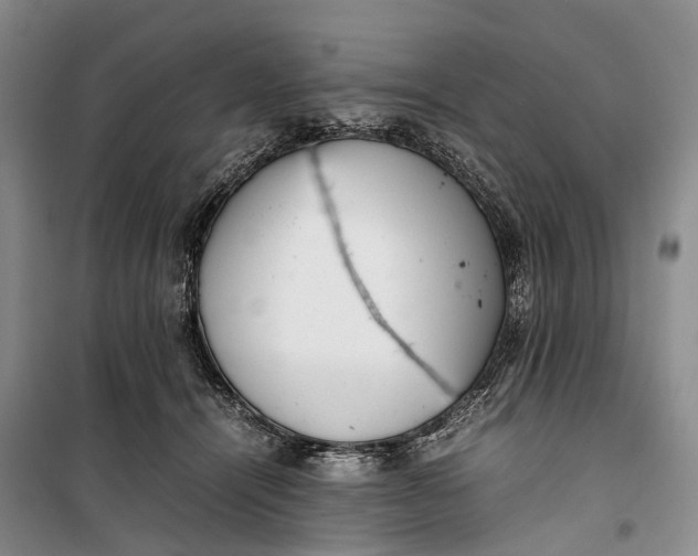 X0000100230464200806131340