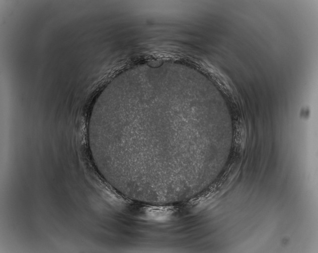 X0000100230465200806131340