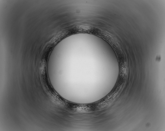 X0000100230468200806131340