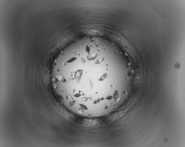 X0000100230469200806131340