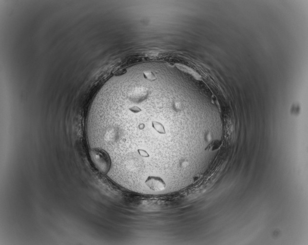 X0000100230470200806131340