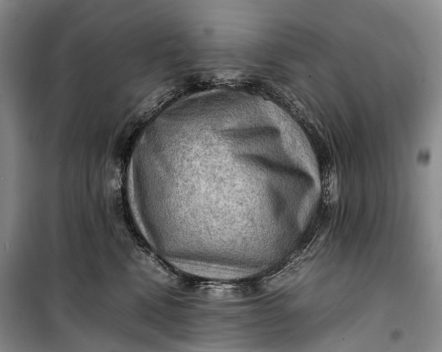 X0000100230472200806131340