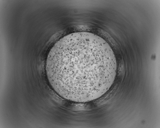 X0000100230473200806131340