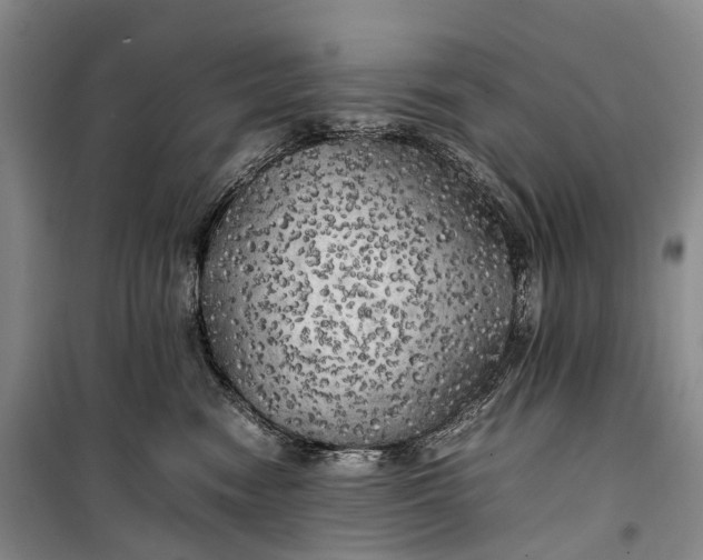 X0000100230474200806131340