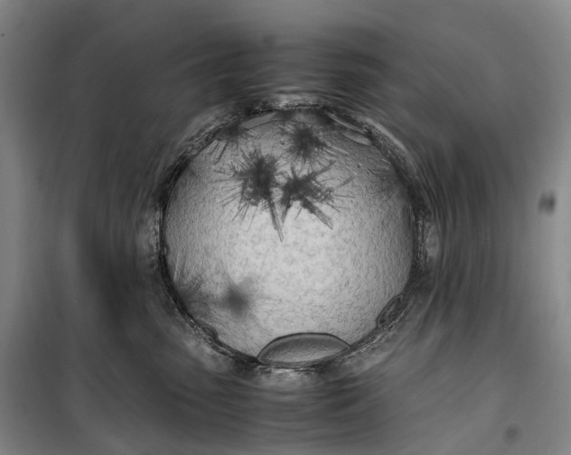 X0000100230475200806131340