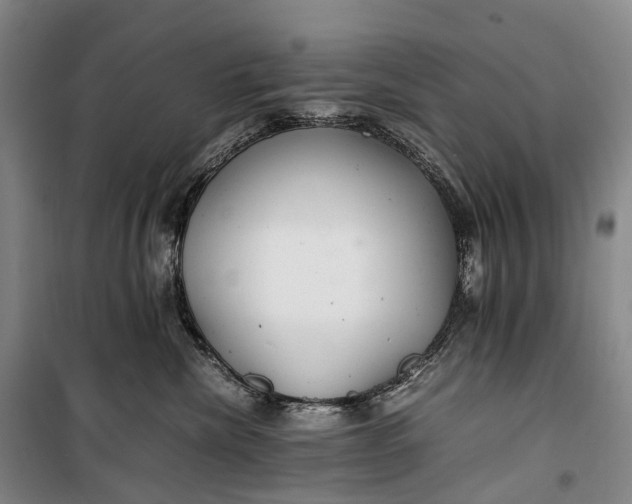 X0000100230476200806131340