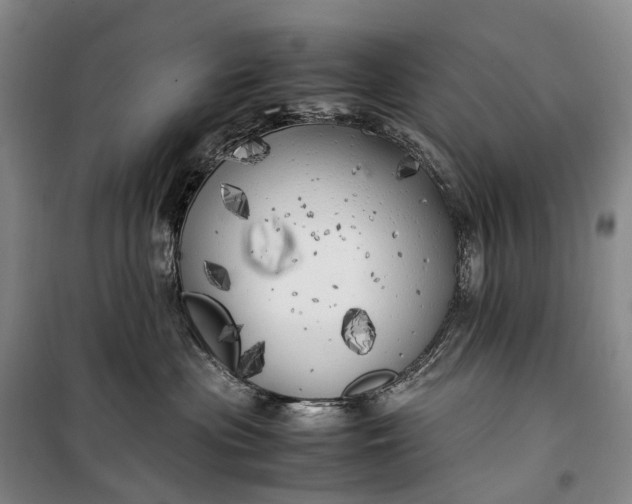 X0000100230477200806131340