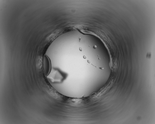 X0000100230478200806131340