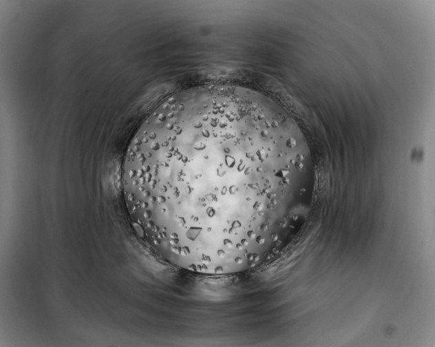 X0000100230479200806131340