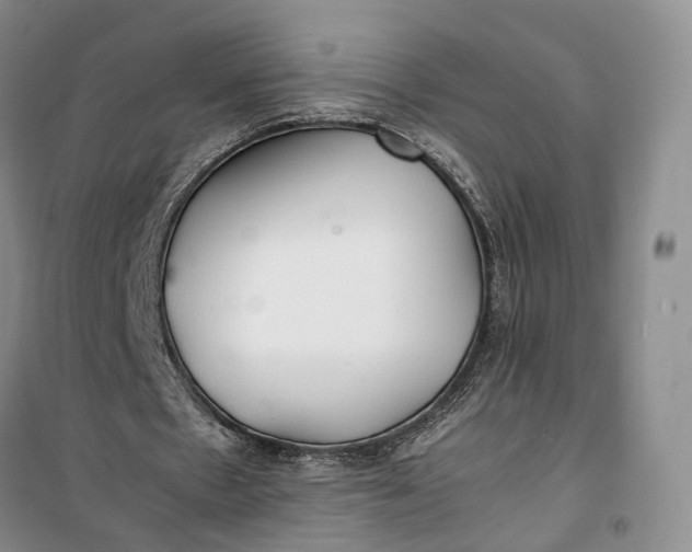 X0000100230481200806131339