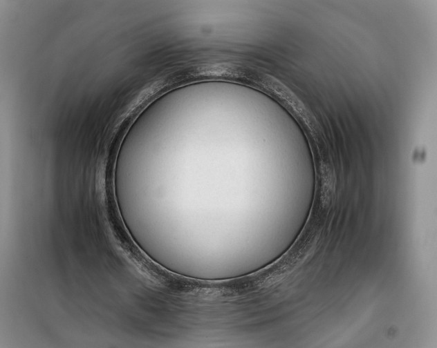 X0000100230482200806131339