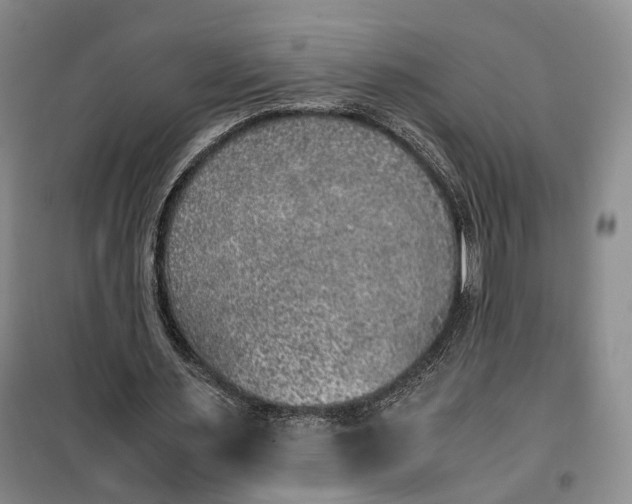 X0000100230483200806131339