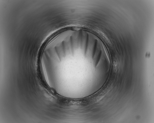 X0000100230484200806131339