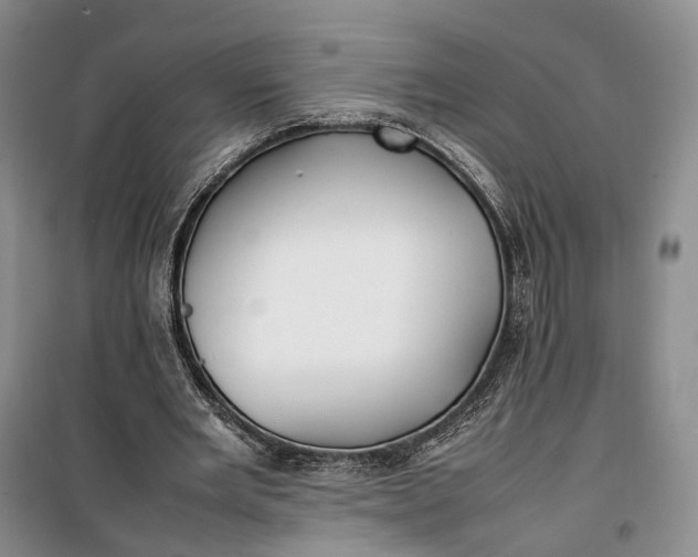 X0000100230485200806131339