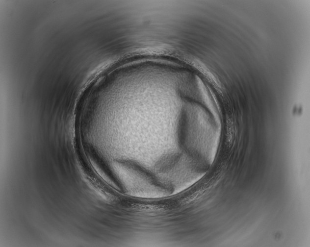 X0000100230486200806131339