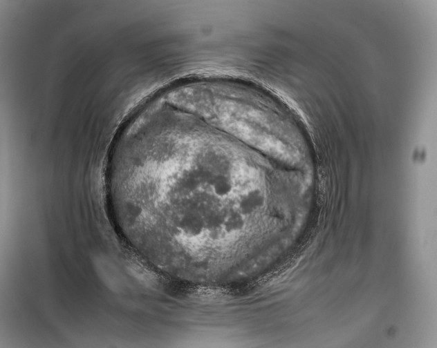 X0000100230487200806131339