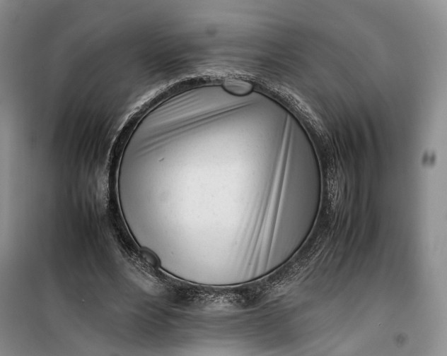 X0000100230488200806131339