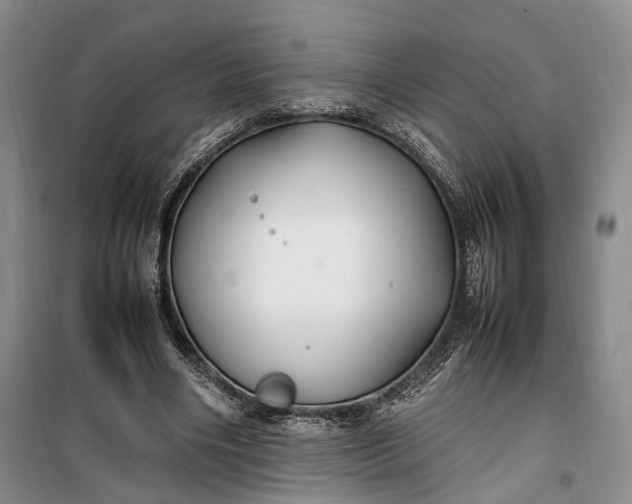 X0000100230490200806131339