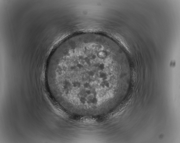 X0000100230491200806131339