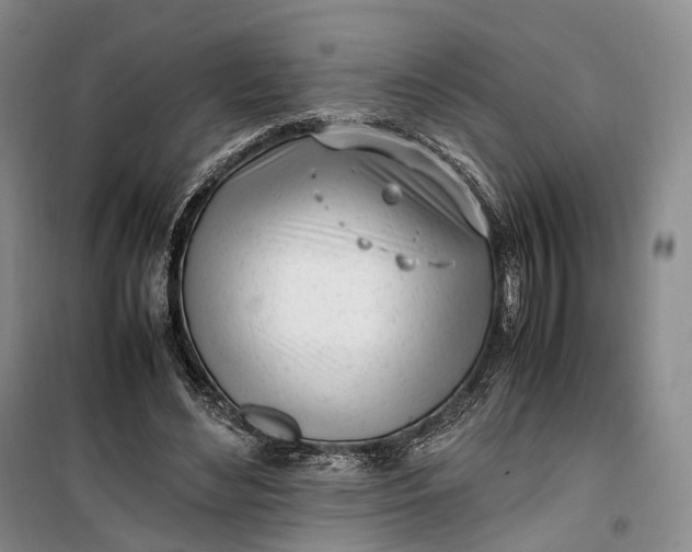 X0000100230492200806131339