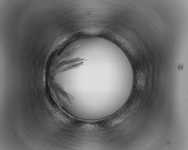 X0000100230494200806131339