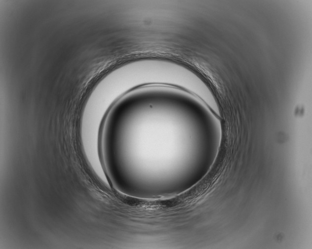 X0000100230495200806131339