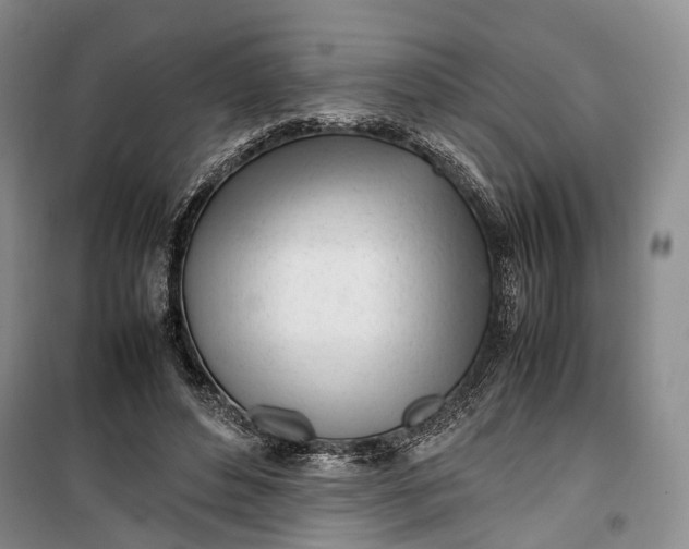 X0000100230496200806131339