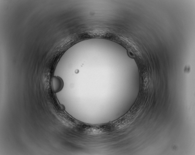 X0000100230498200806131339