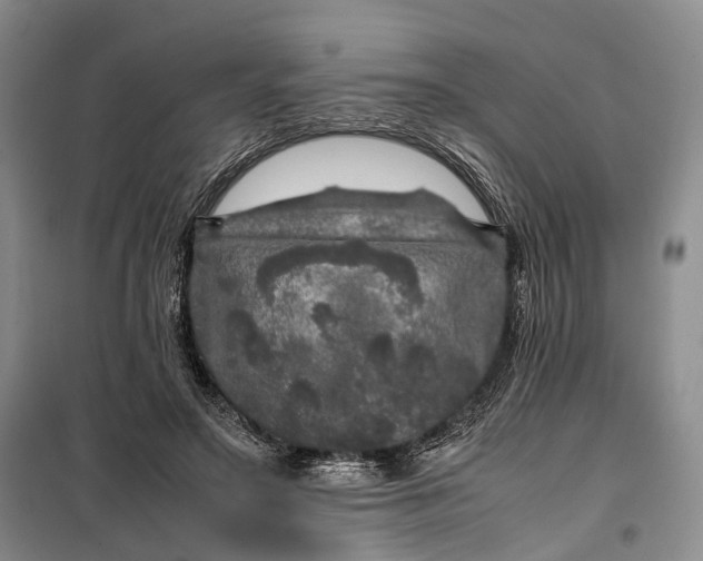 X0000100230499200806131339