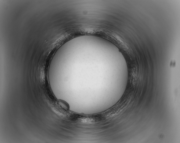 X0000100230500200806131339